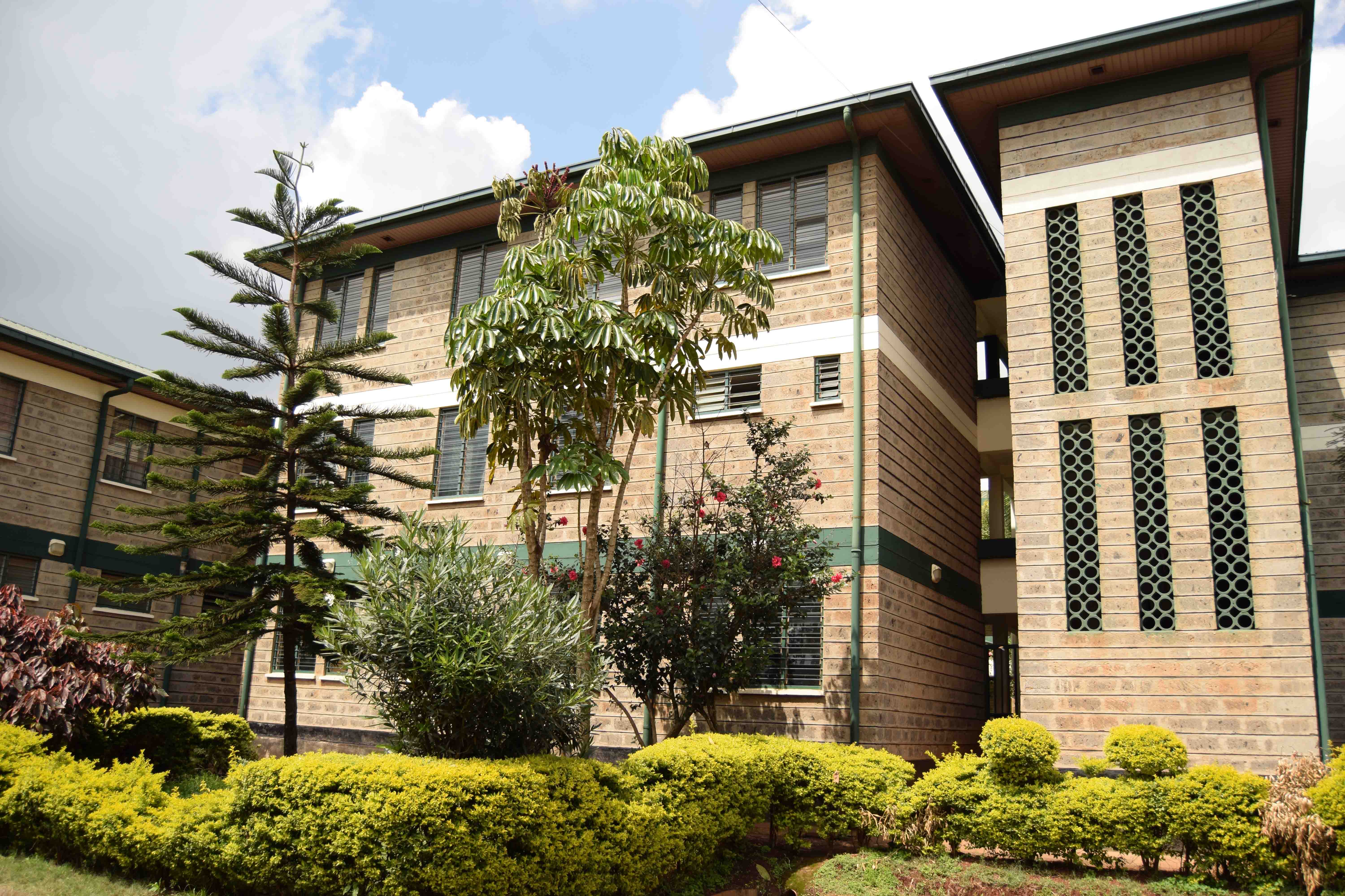 Featured image for Counseling Department